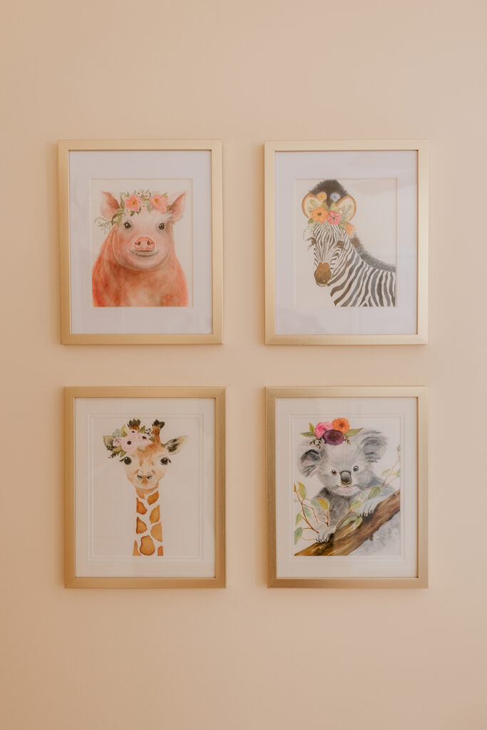 animal pictures on wall