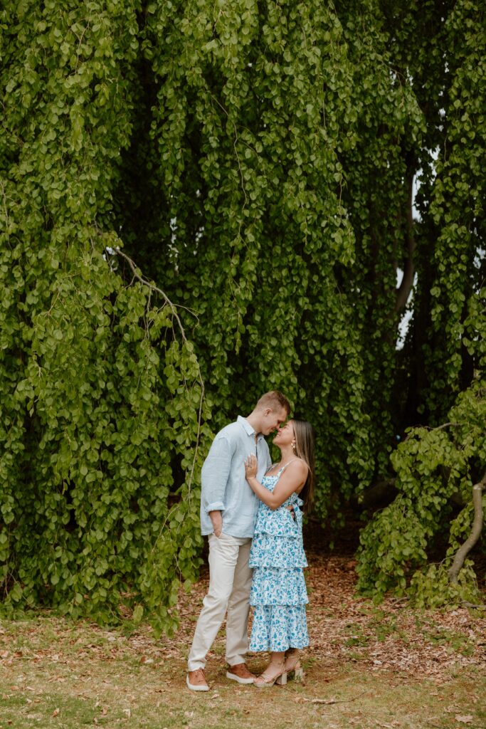 Engaged couple embracing beneath a large weeping tree during an engagement session at Vanderbilt Mansion in Hyde Park, NY.